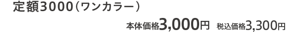 定額3000（ワンカラー） 本体価格 3,000円 税込価格3,300円