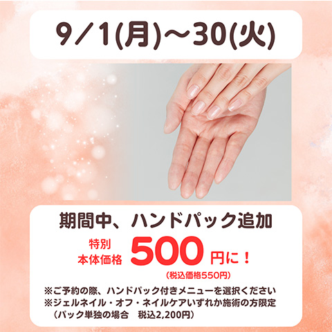 ☆9月限定・ハンドパック追加500円☆9/1（月）～9/30（火）