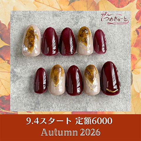 ☆定額6000デザイン 2026☆ 9月4日（金）から