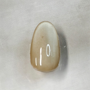 デザイン番号0556